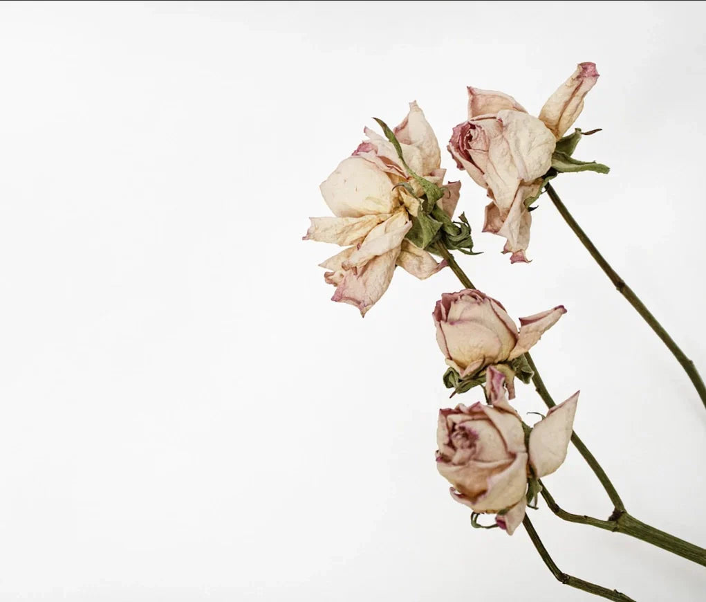 La sequedad vaginal: Causas, consecuencias y cómo prevenirla Sequedad vaginal La sequedad vaginal: Causas, consecuencias y cómo prevenirla