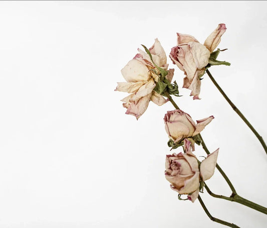 La sequedad vaginal: Causas, consecuencias y cómo prevenirla Sequedad vaginal La sequedad vaginal: Causas, consecuencias y cómo prevenirla