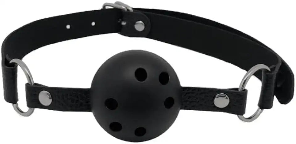 Alive Discretion Black Ball Gag