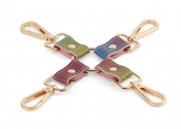 Spectra Bondage Hogtie Rainbow