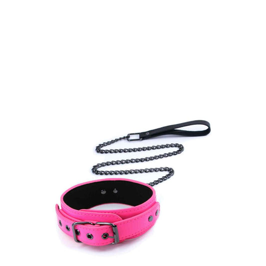 Electra Collar & Leash Pink