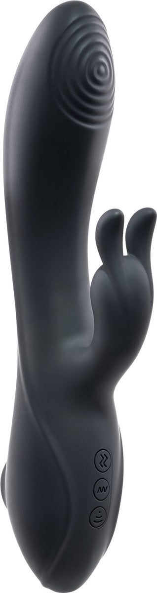 TERRIER DE LAPIN ÉVOLUÉ