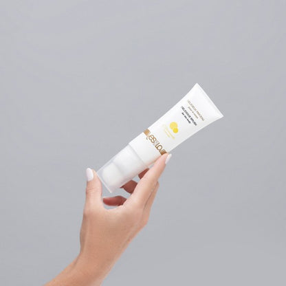 Delicious Brush- Lemonade