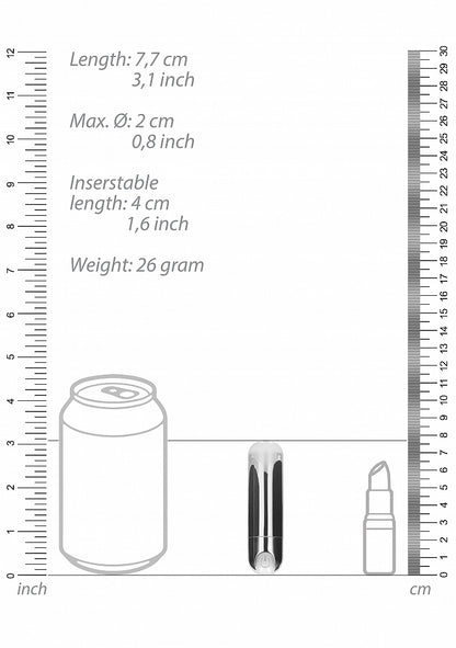 BGT - 10 Speed Rechargeable Bullet - Silver