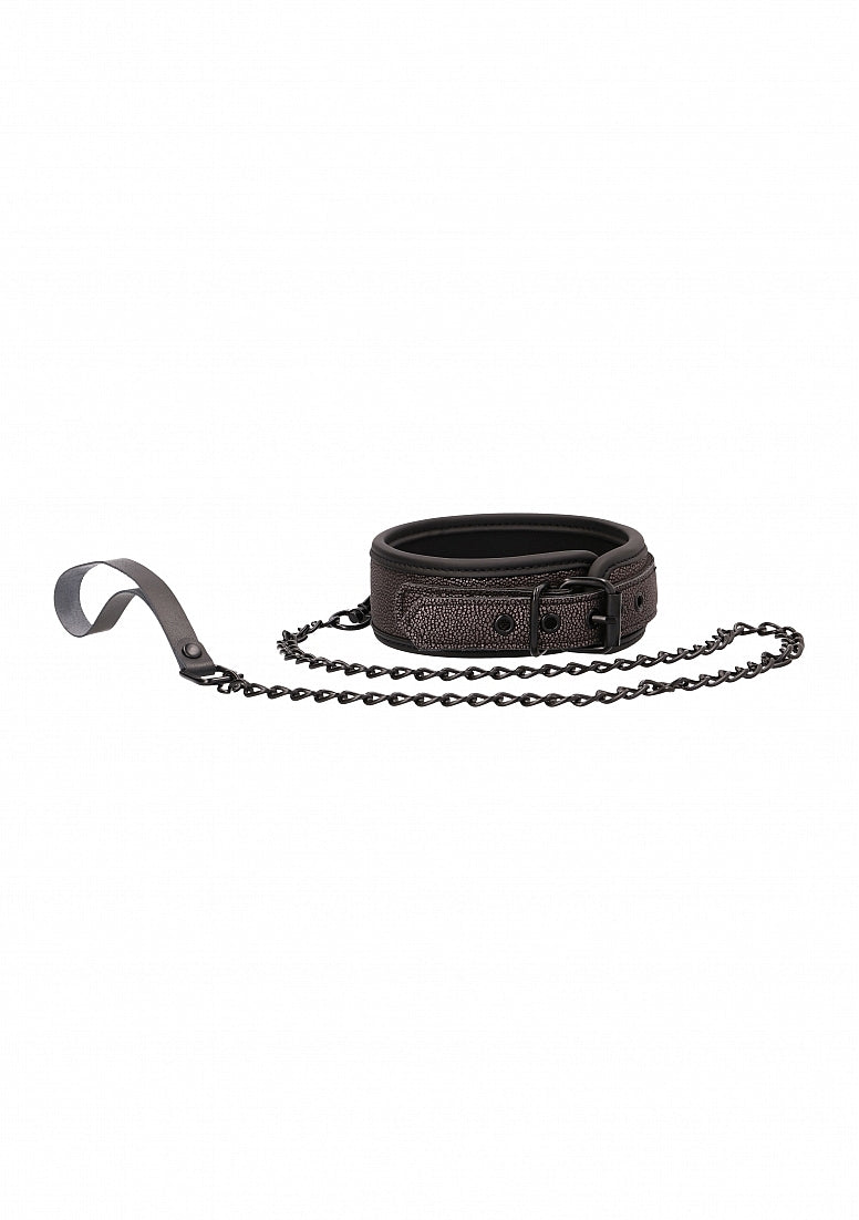 Elegant Collar with Leash - Titanium Grey