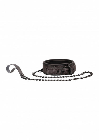 Elegant Collar with Leash - Titanium Grey
