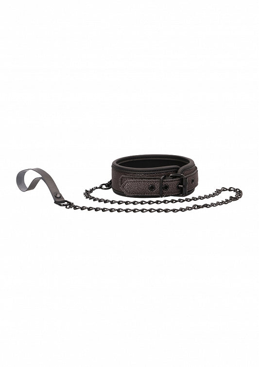Elegant Collar with Leash - Titanium Grey