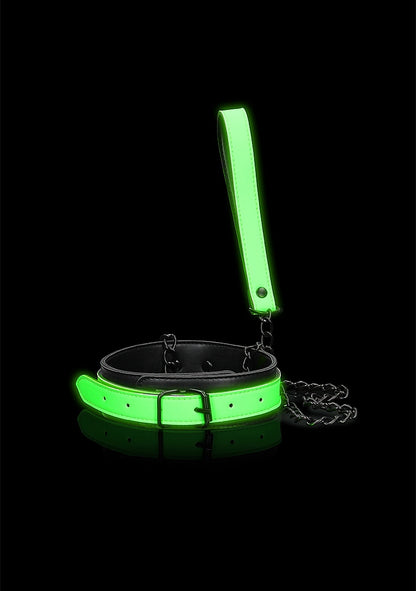 Collar and Leash - Glow in the Dark - Neon