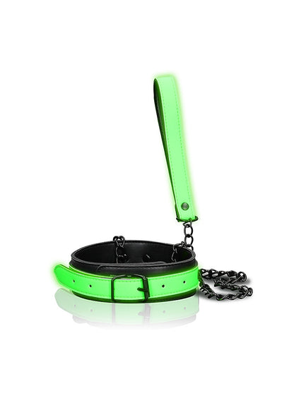 Collar and Leash - Glow in the Dark - Neon
