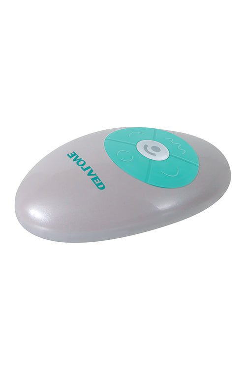 Evolved The Butterfly Effect