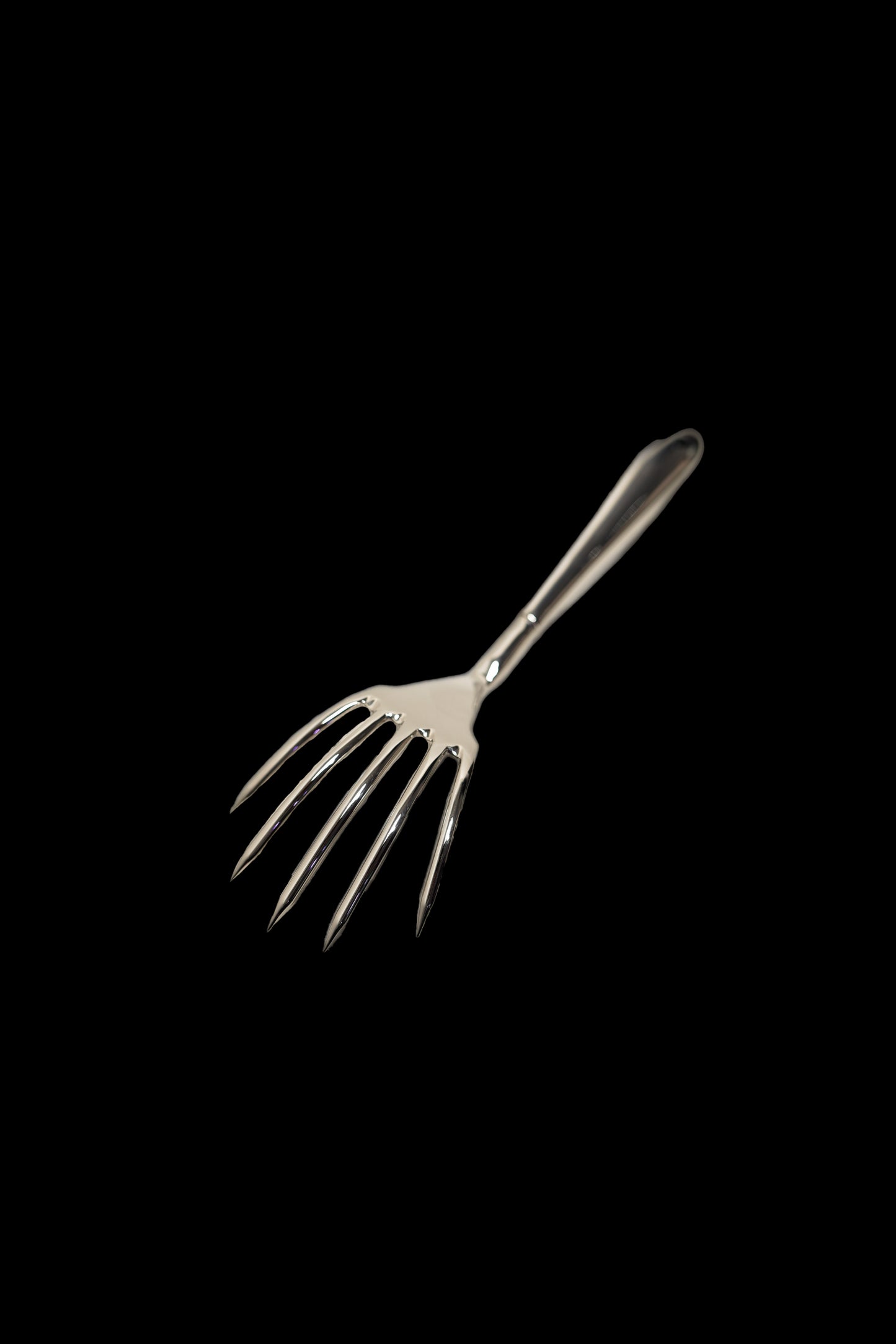 Griffe de chat en acier inoxydable