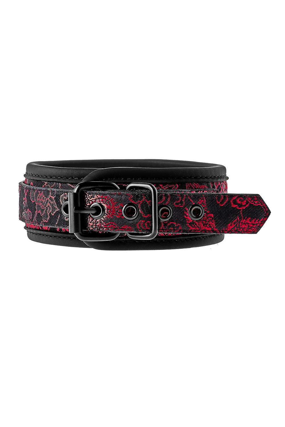 Blaze Deluxe Collar & Leash