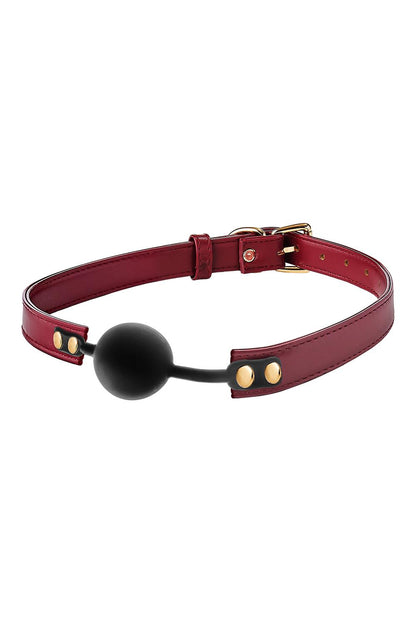 Kit de 5 piezas de BDSM Rojo - BLAZE ELITE