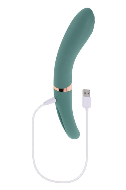 FILM DE POUSSIN ÉVOLUÉ