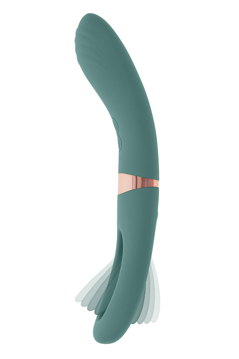 FILM DE POUSSIN ÉVOLUÉ