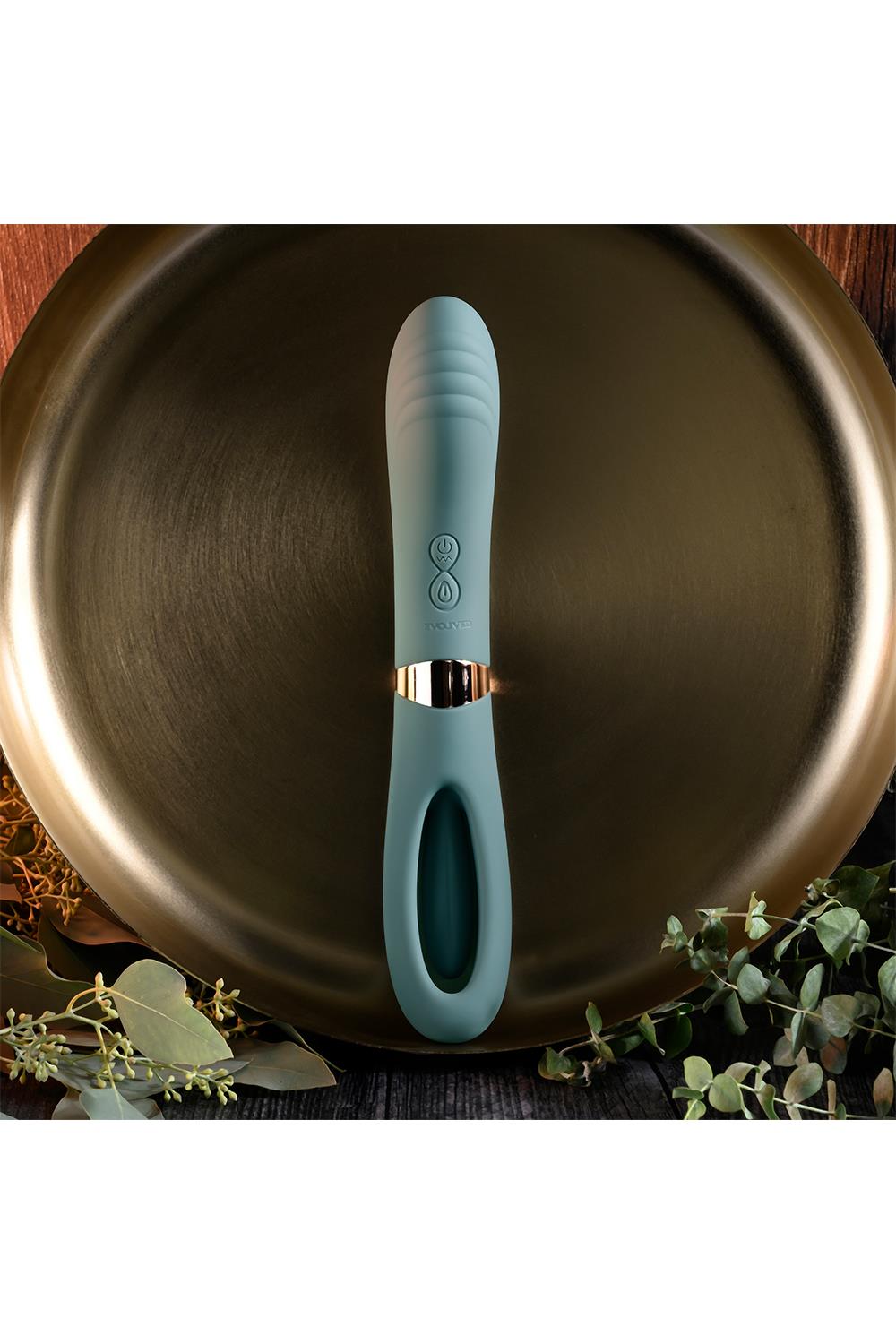 FILM DE POUSSIN ÉVOLUÉ