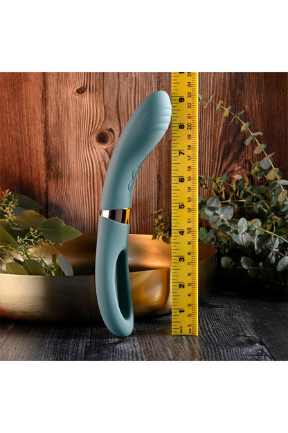 FILM DE POUSSIN ÉVOLUÉ