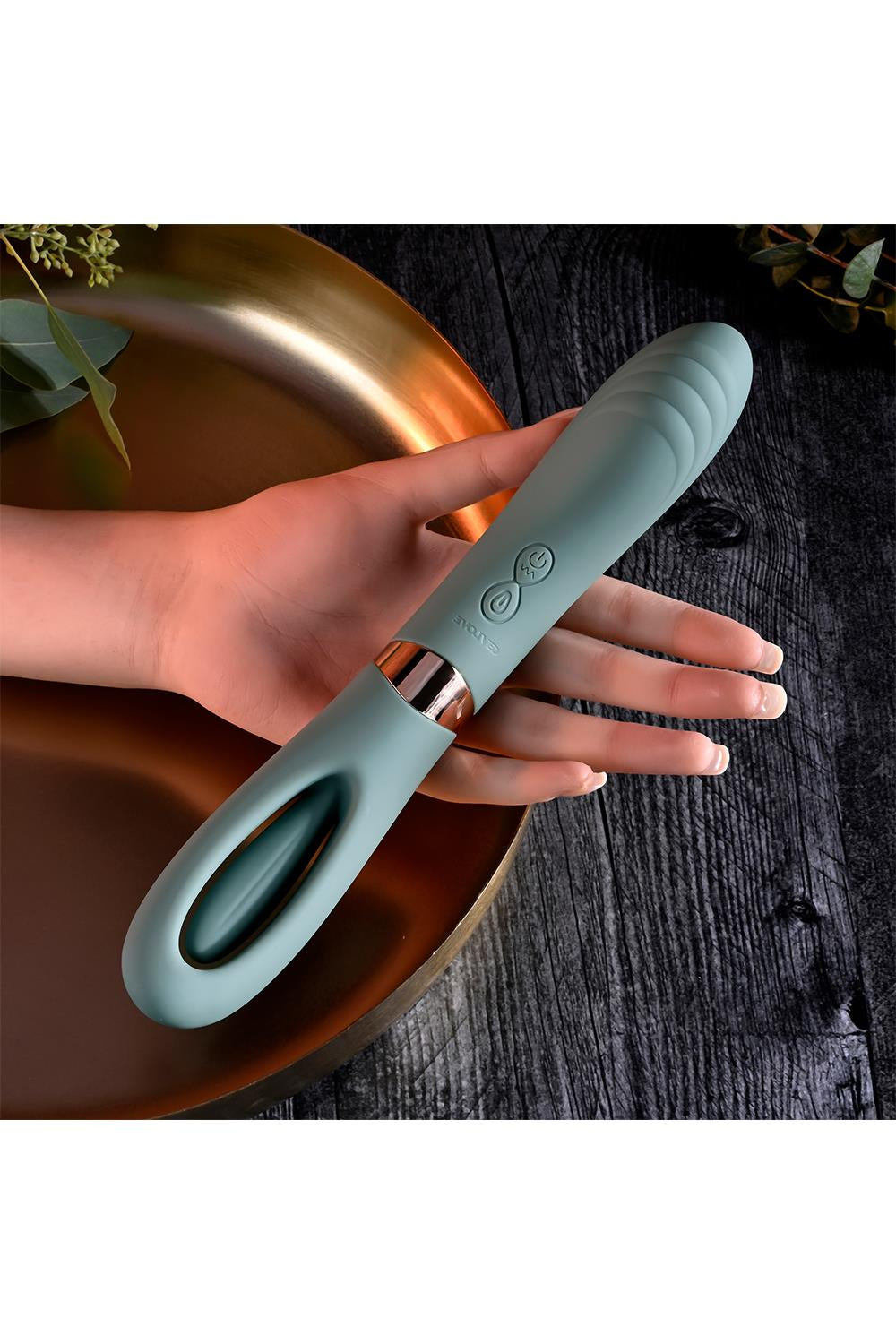 FILM DE POUSSIN ÉVOLUÉ