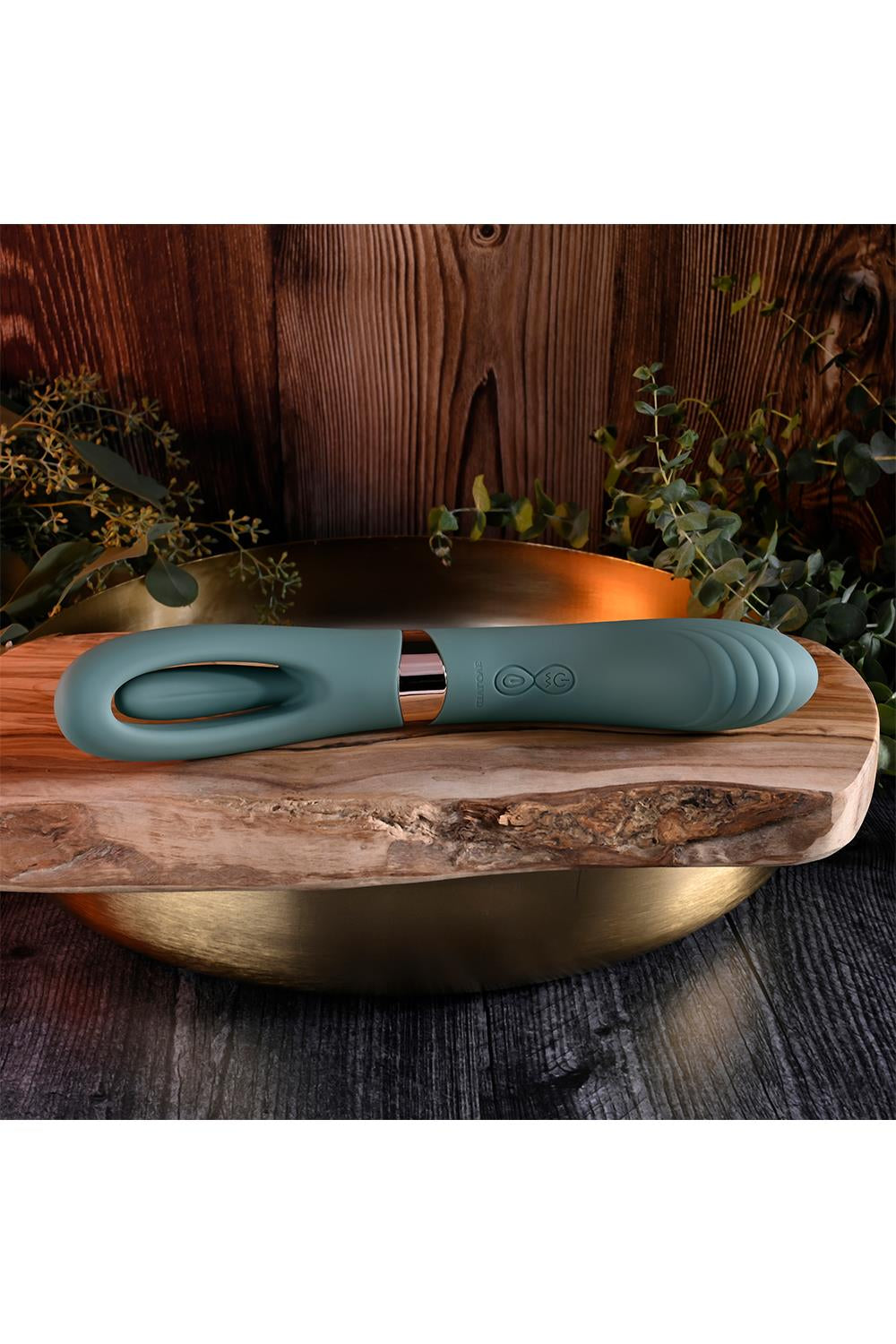 FILM DE POUSSIN ÉVOLUÉ