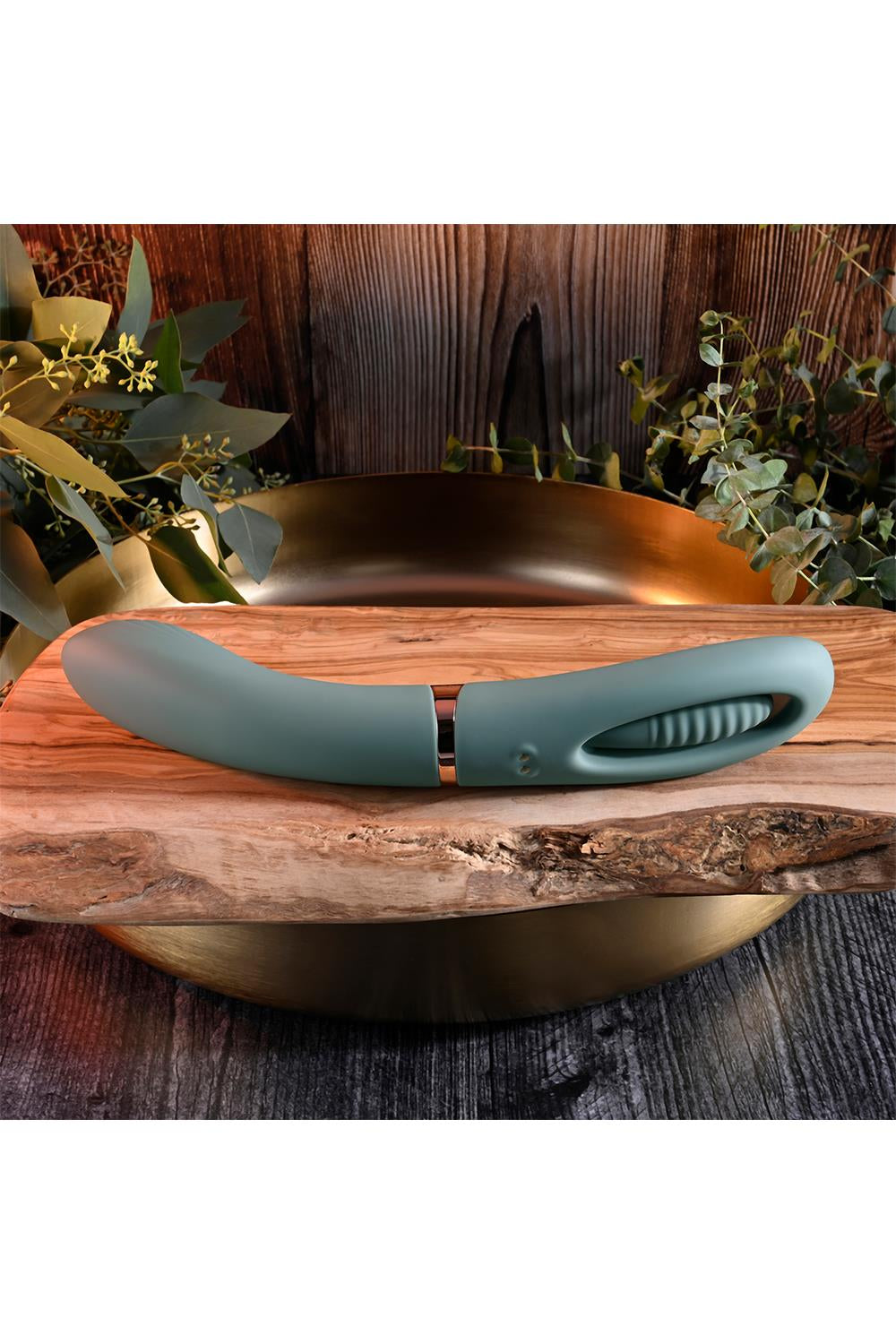 FILM DE POUSSIN ÉVOLUÉ