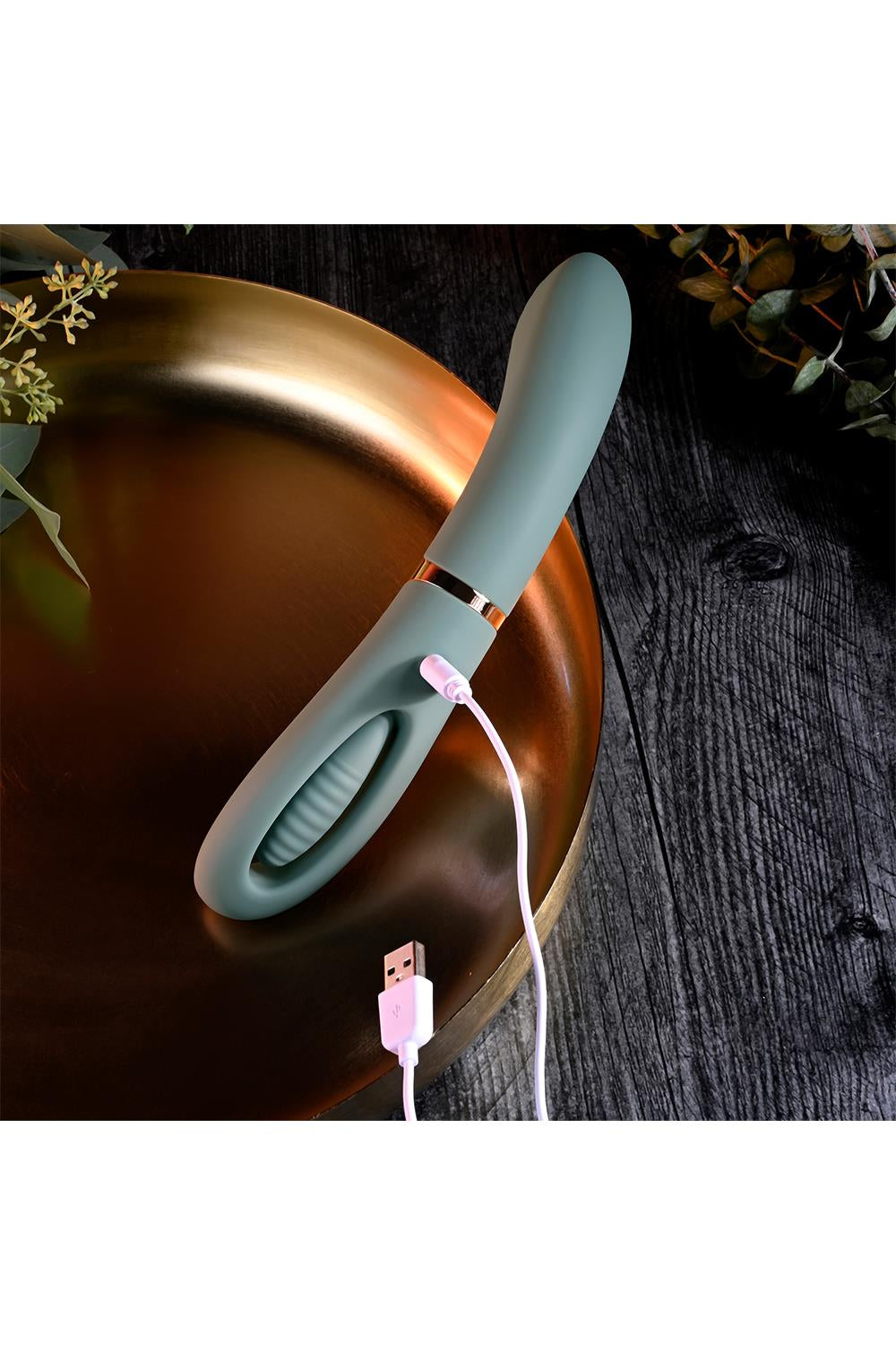 FILM DE POUSSIN ÉVOLUÉ