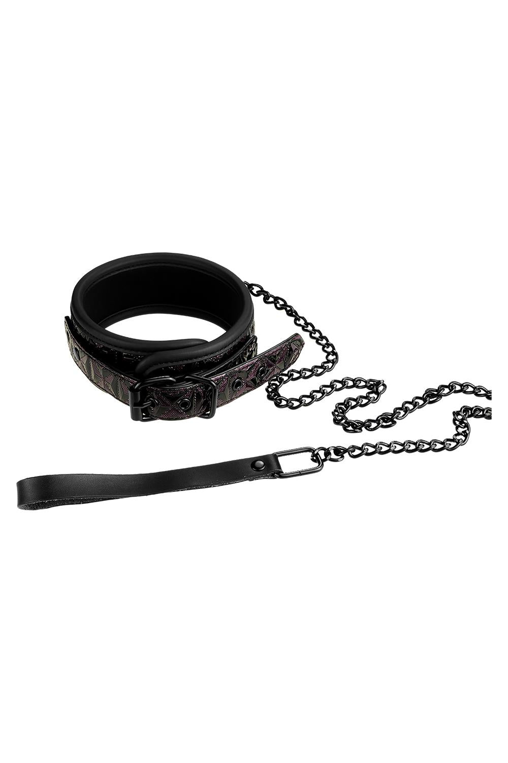 Blaze Collar And Leash Purple