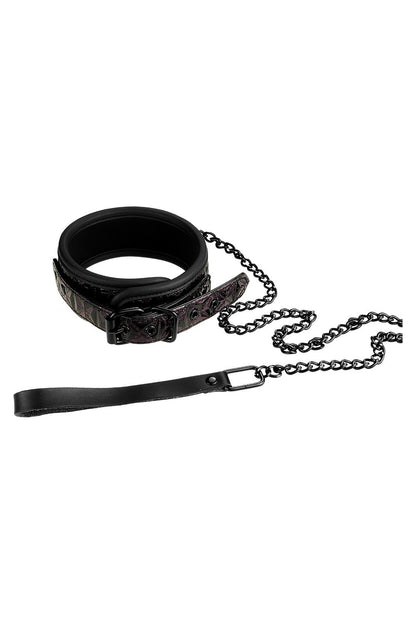 Blaze Collar And Leash Purple